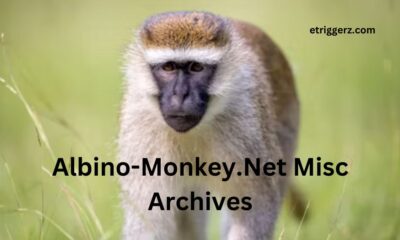 Albino-Monkey.Net Misc Archives