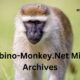 Albino-Monkey.Net Misc Archives