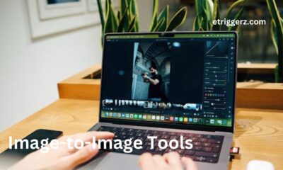 Image-to-Image Tools