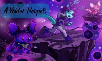 a voider neopets